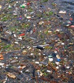 Déchets plastiques dans le pacifique