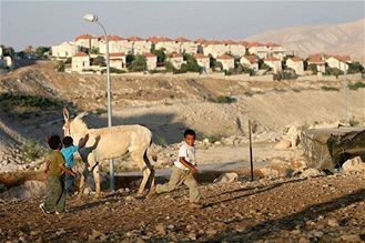 Des colonies en Cisjordanie occupée