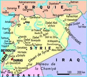 Une majorité écrasante de Turcs opposée à une intervention en Syrie 
   
