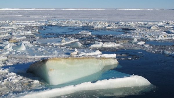 Antarctique: la superficie de la glace à un maximum record (chercheurs)


