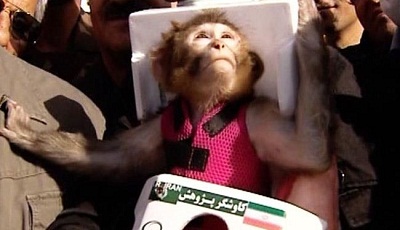 L’Iran envoie un deuxième singe dans l’espace
