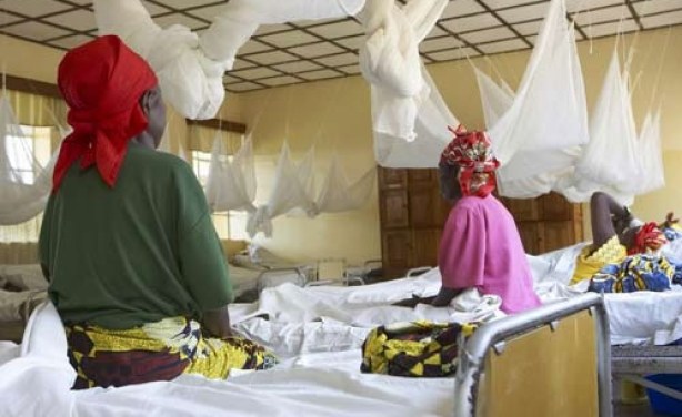 Afrique du Sud/sida: des hôpitaux publics accusés de stérilisation forcée