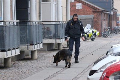 La police abat un homme à Copenhague après deux fusillades