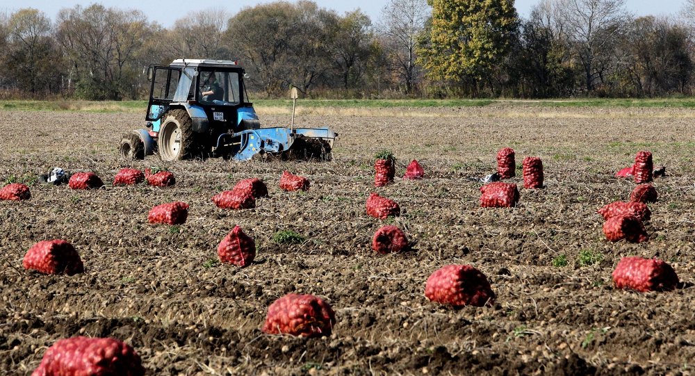 Agriculture: Moscou et Pékin forment un fonds de 2 mds USD