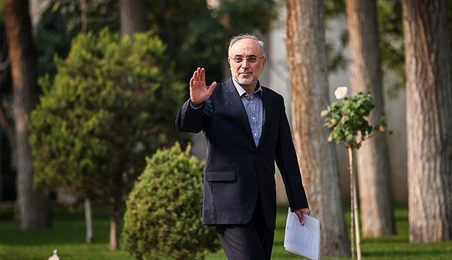 Salehi : L’avenir nucléaire de l’Iran  est prometteur