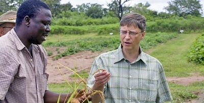 Afrique:stratégie de Bill Gates,pour éradiquer les fruits et céréales naturelles
