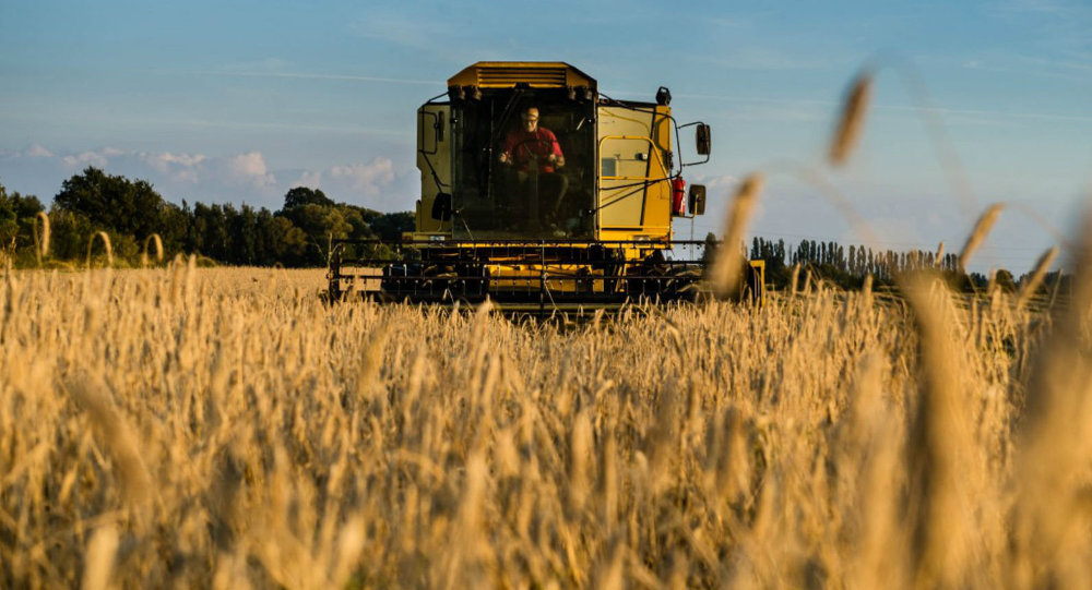 La Russie coince les USA en augmentant l’exportation de produits agricoles