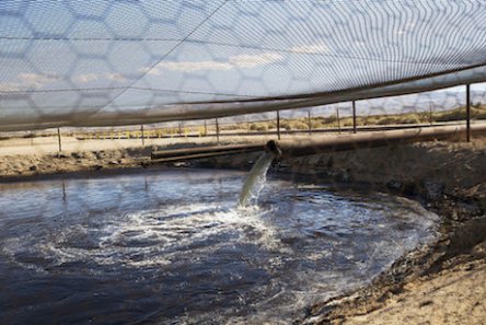 Où vont les eaux usées et les déchets du gaz de schiste aux Etats-Unis ?
