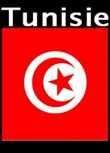 Tunisie: couvre-feu à Tunis après des violences, un parent de Ben Ali condamné