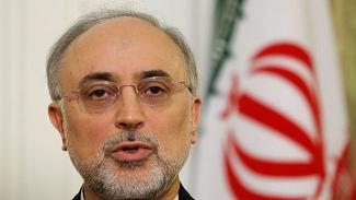 Ir&aacuten Optimista acerca del Arreglo de la Cuesti&oacuten Nuclear: Salehi