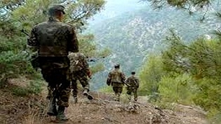 El Ejército argelino mata a dos terroristas en una operación
