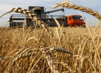 EEUU desplazado por Rusia como primer exportador de trigo