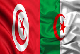 Argelia y Túnez se desmarcan de decisión del CCG contra Hezbolá
