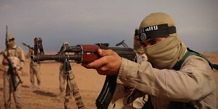 Casi 3.500 militantes del EI muertos en Iraq este año
